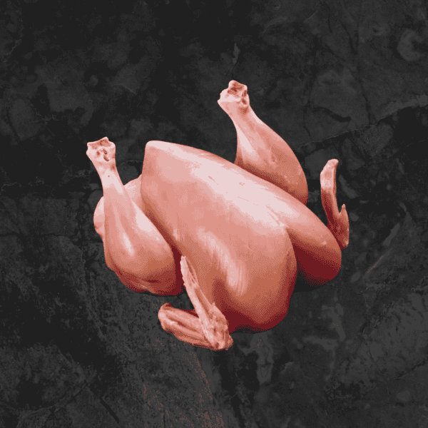 Grill size chicken