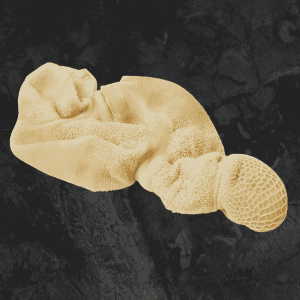 Goat tripe & Intestine