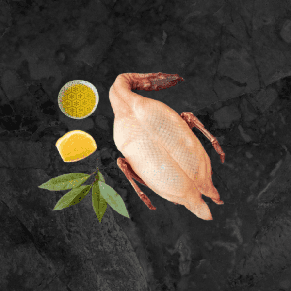 Duck