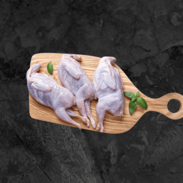 Pigeon