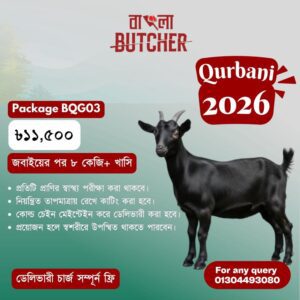 Package BQG03